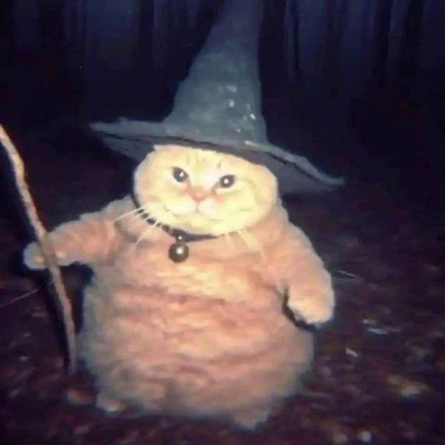 kerrylin_wizard.jpg