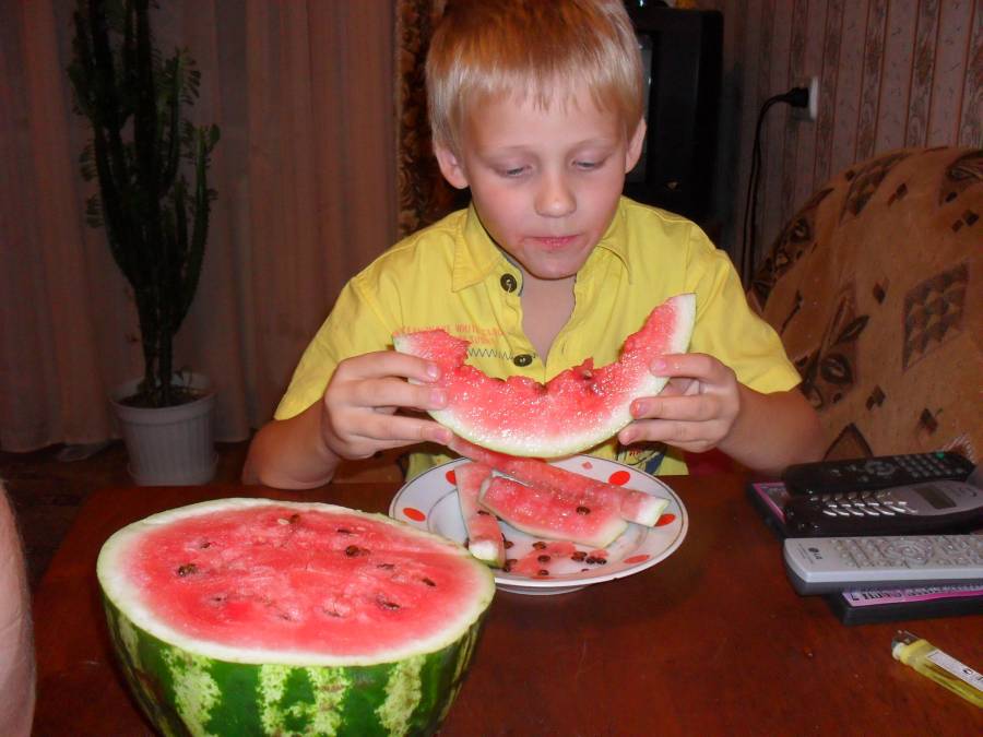lil_wig_arbuz.jpg
