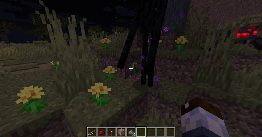 Эндермен держит цветок