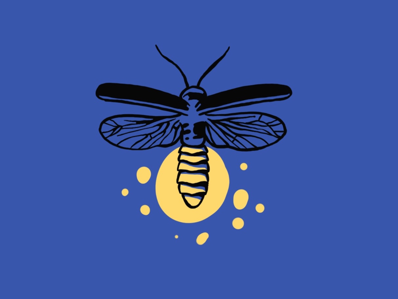 svetabug_firefly.png